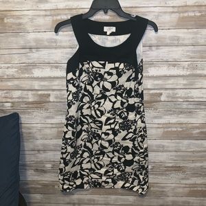 Loft summer dress
